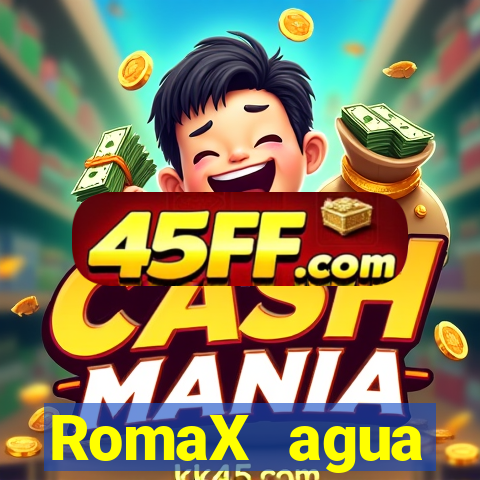 RomaX agua sanitaria fispq agua sanitaria romax